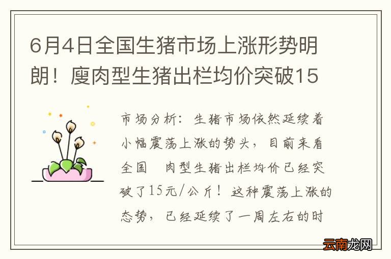6月4日全国生猪市场上涨形势明朗！廋肉型生猪出栏均价突破15元/
