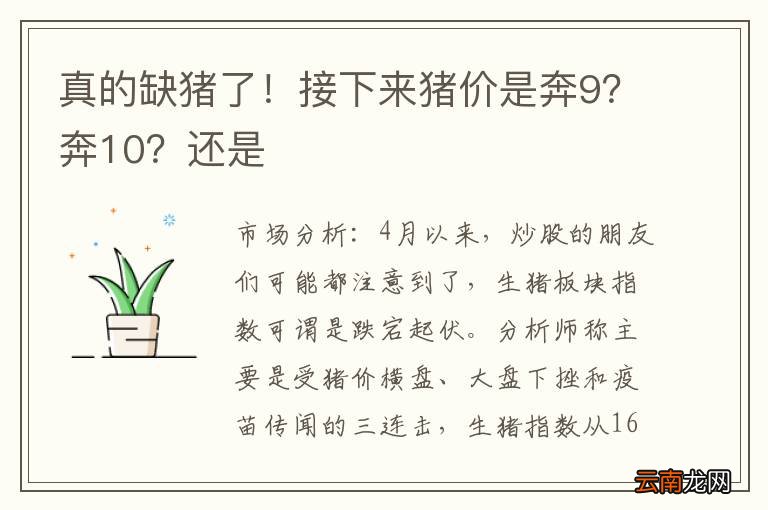 真的缺猪了！接下来猪价是奔9？奔10？还是