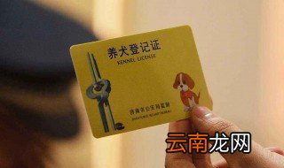 养狗没有狗证怎么办 没办狗证怎么办