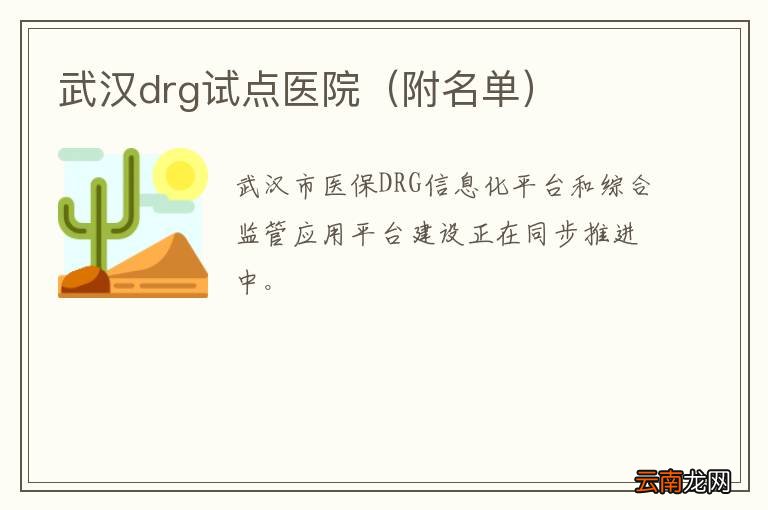 附名单 武汉drg试点医院