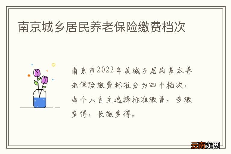 南京城乡居民养老保险缴费档次
