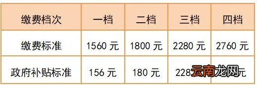 南京城乡居民养老保险缴费档次