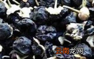黑枸杞不适合什么人喝 黑枸杞泡水喝的禁忌