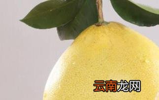 孕妇能吃柚子吗 孕妇吃柚子的好处和坏处