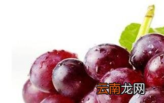 无籽葡萄的功效与作用 吃无籽葡萄的好处