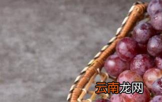 无籽葡萄的功效与作用 吃无籽葡萄的好处