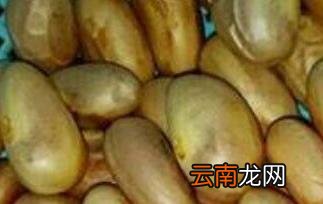 菠萝蜜核的功效与作用 菠萝蜜核的食用方法