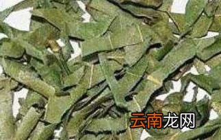 柿子叶泡水喝的功效 柿子叶泡水喝有哪些作用