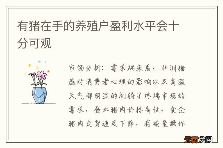 有猪在手的养殖户盈利水平会十分可观