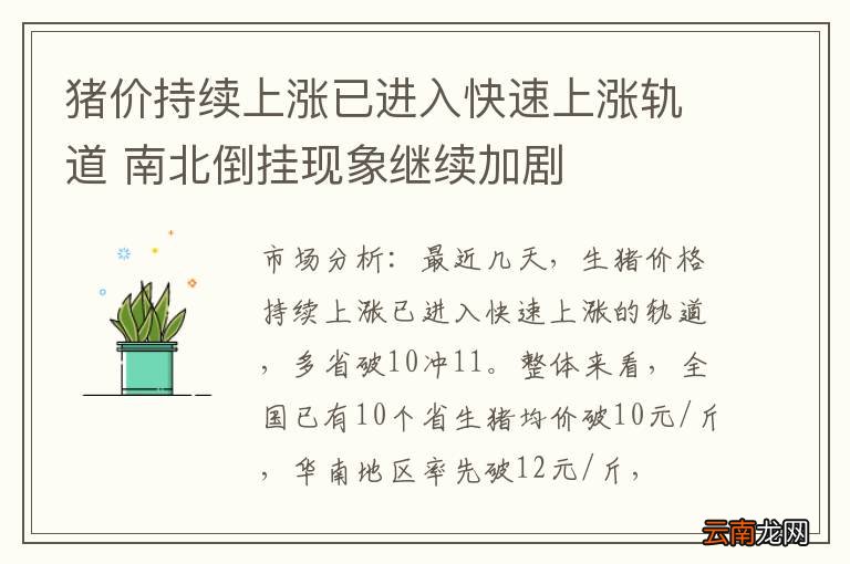 猪价持续上涨已进入快速上涨轨道 南北倒挂现象继续加剧
