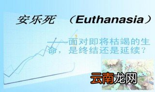 什么叫安乐死 安乐死是什么