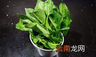 吃完菠菜不能吃什么 菠菜与什么不能一起吃