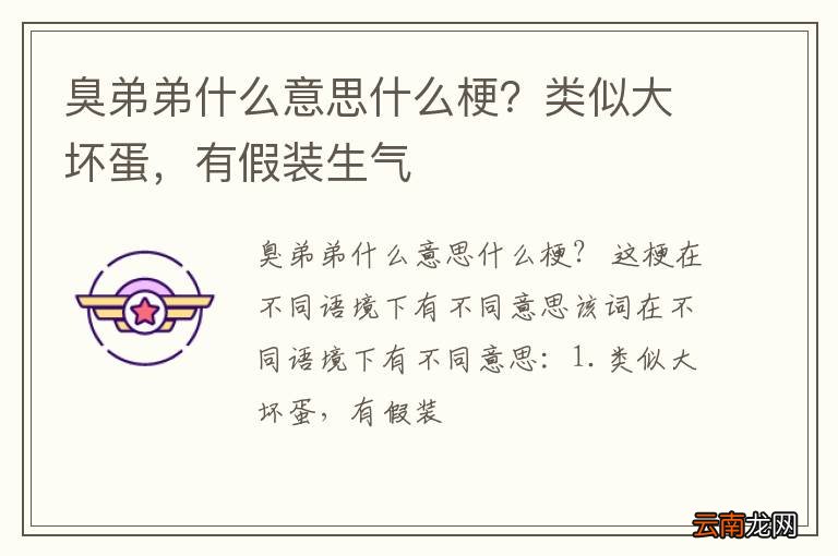 臭弟弟什么意思什么梗？类似大坏蛋，有假装生气