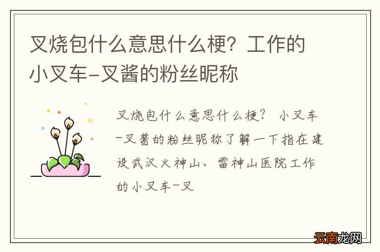叉烧包什么意思什么梗？工作的小叉车-叉酱的粉丝昵称