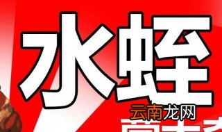 100平室内水蛭养殖利润 你知道吗