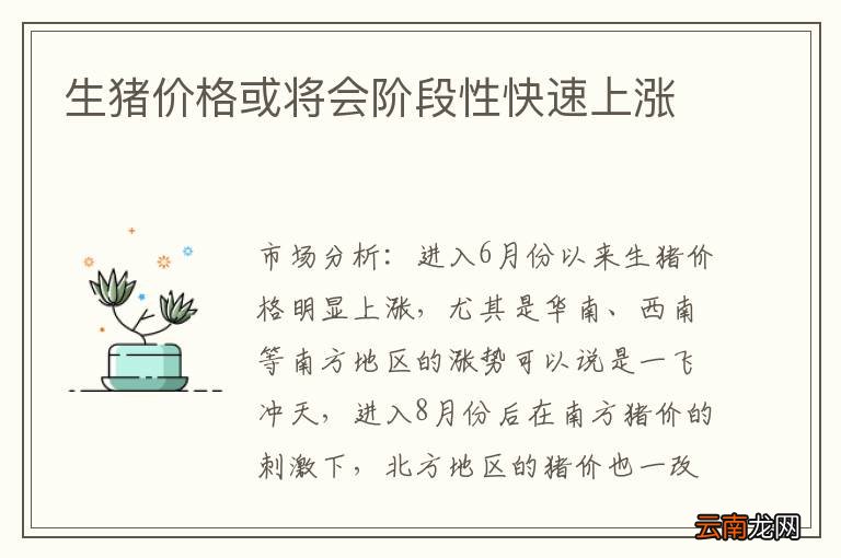 生猪价格或将会阶段性快速上涨
