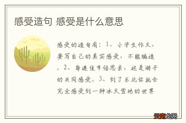 感受造句 感受是什么意思