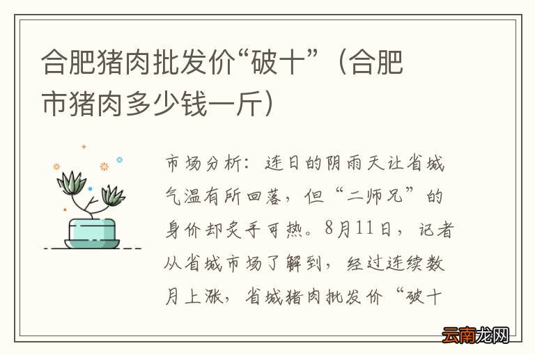 合肥市猪肉多少钱一斤 合肥猪肉批发价“破十”