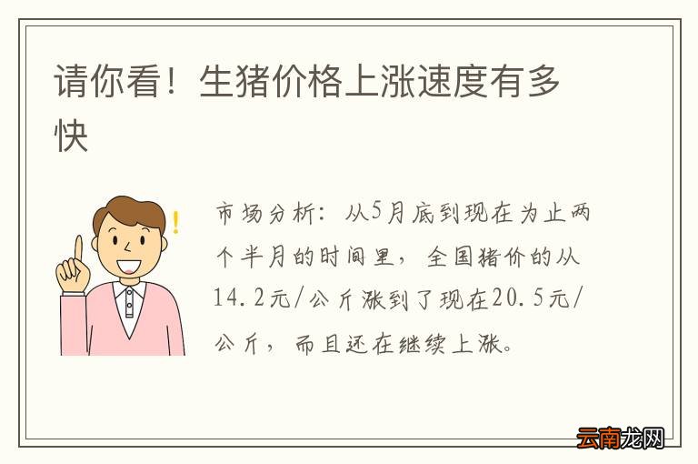 请你看！生猪价格上涨速度有多快