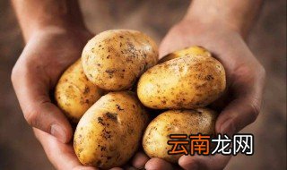 土豆怎样长期保存不发芽 土豆发芽了能吃吗