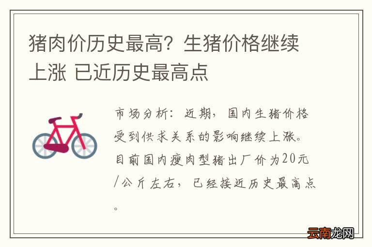 猪肉价历史最高？生猪价格继续上涨 已近历史最高点