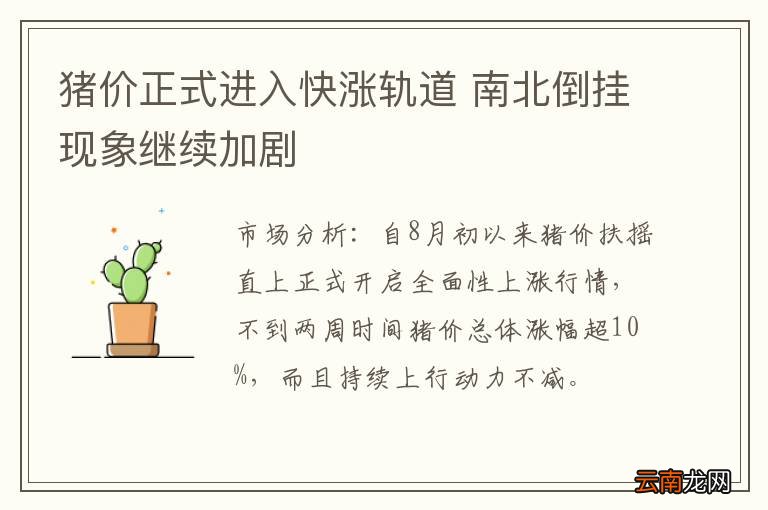 猪价正式进入快涨轨道 南北倒挂现象继续加剧