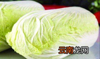 大白菜冬天怎么储存 下面详细的介绍一下