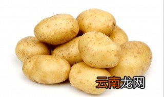 土豆可以放冰箱吗 为什么呢