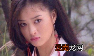 木婉清最后结局 被段誉收了吗