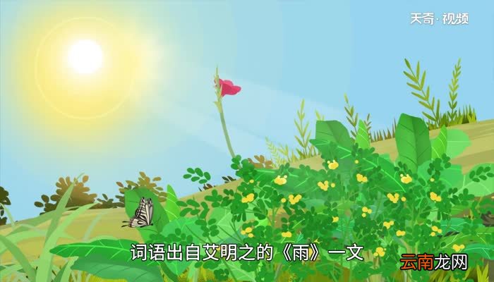 曝晒的意思 曝晒的意思是什么