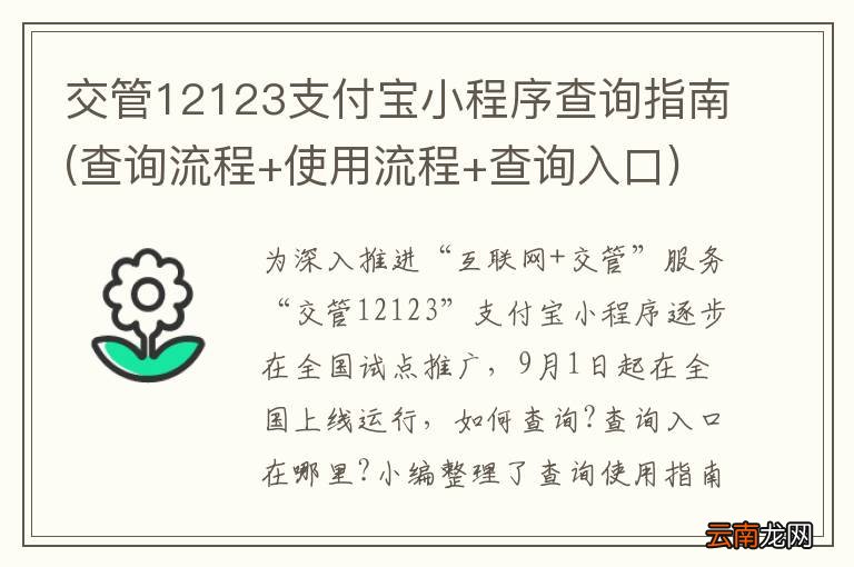 查询流程+使用流程+查询入口 交管12123支付宝小程序查询指南