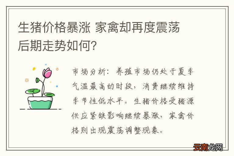 生猪价格暴涨 家禽却再度震荡 后期走势如何？