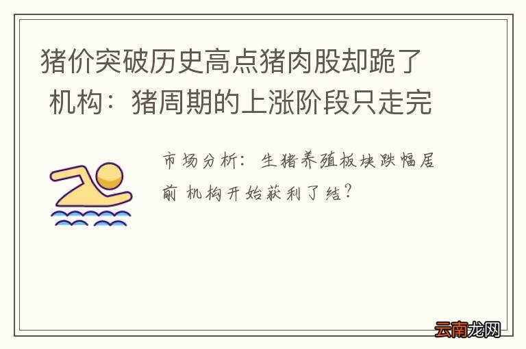 猪价突破历史高点猪肉股却跪了 机构：猪周期的上涨阶段只走完了