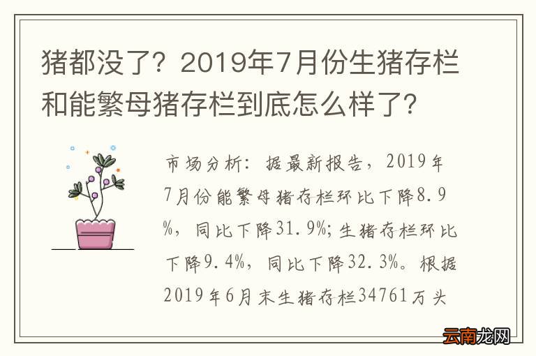 猪都没了？2019年7月份生猪存栏和能繁母猪存栏到底怎么样了？