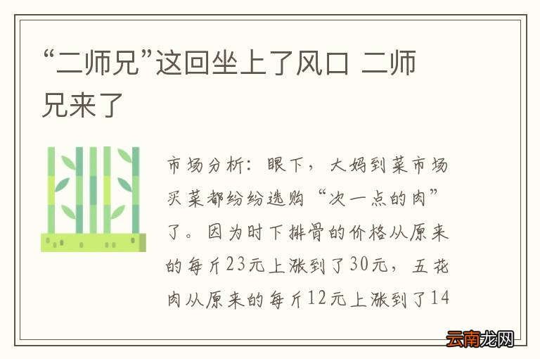 “二师兄”这回坐上了风口 二师兄来了