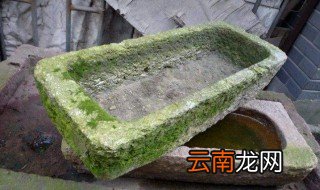 石缸养鱼怎么去青苔 如何快速清除鱼缸里的青苔