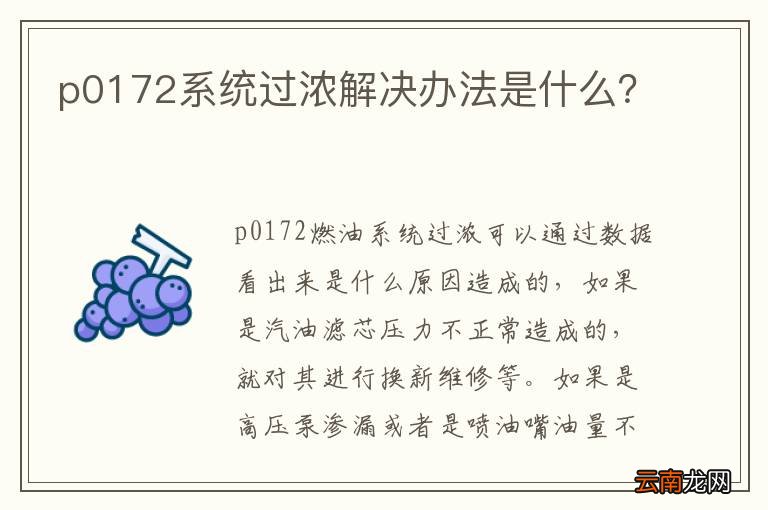 p0172系统过浓解决办法是什么？