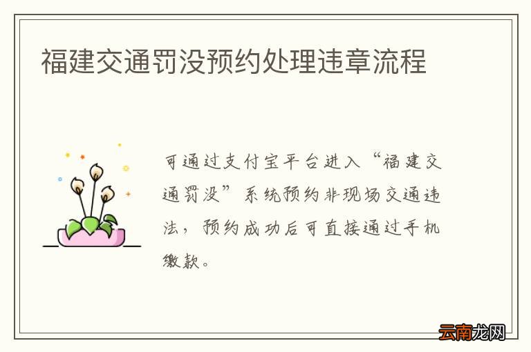 福建交通罚没预约处理违章流程