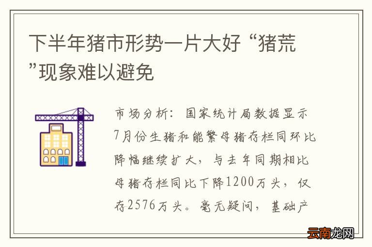 下半年猪市形势一片大好 “猪荒”现象难以避免