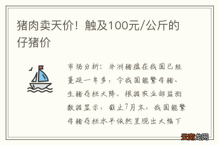 猪肉卖天价！触及100元/公斤的仔猪价