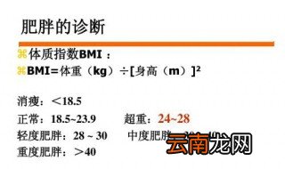 体质指数怎样计算 人的体质指数算法