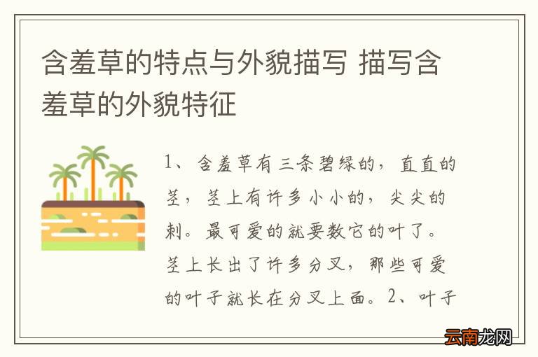 含羞草的特点与外貌描写 描写含羞草的外貌特征