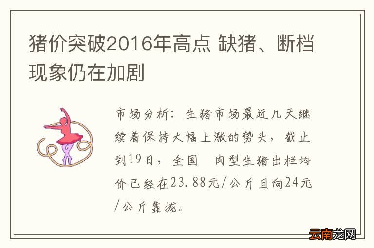 猪价突破2016年高点 缺猪、断档现象仍在加剧