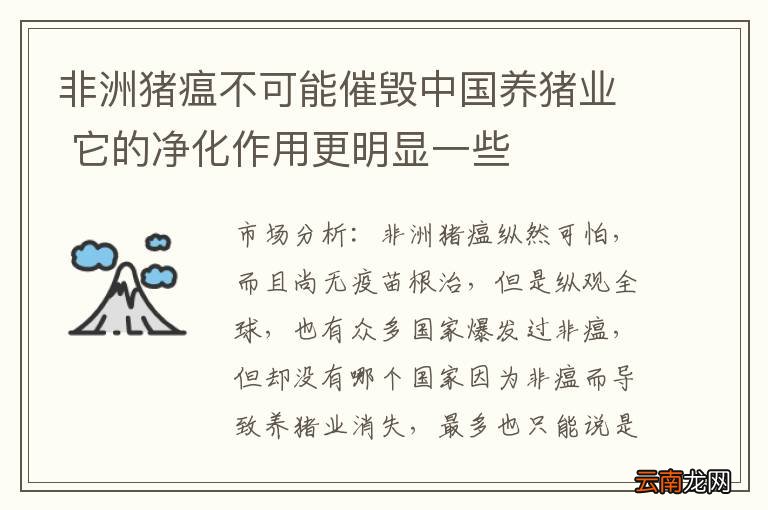 非洲猪瘟不可能催毁中国养猪业 它的净化作用更明显一些