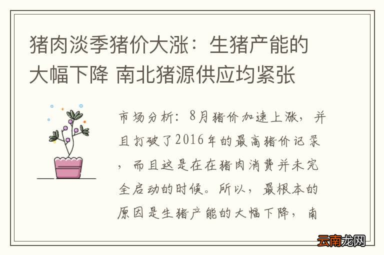 猪肉淡季猪价大涨：生猪产能的大幅下降 南北猪源供应均紧张