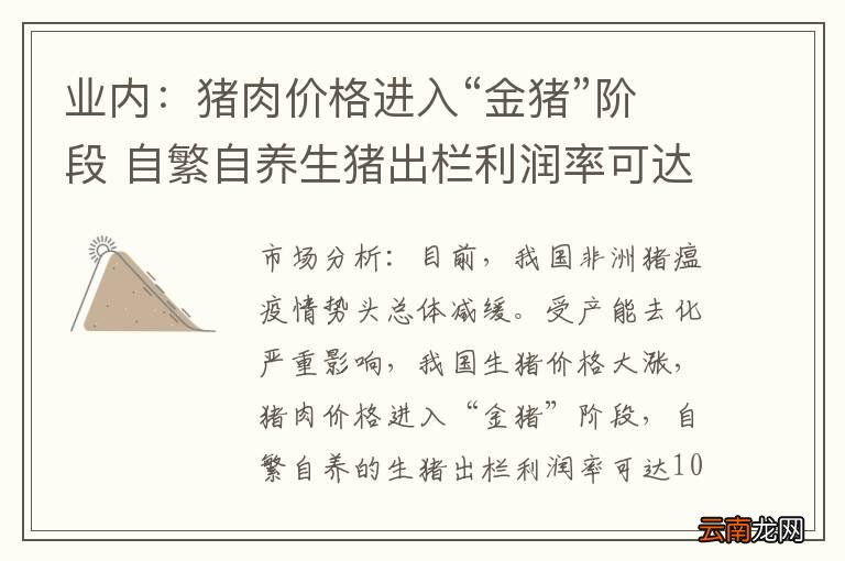业内：猪肉价格进入“金猪”阶段 自繁自养生猪出栏利润率可达100