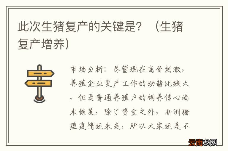 生猪复产增养 此次生猪复产的关键是？