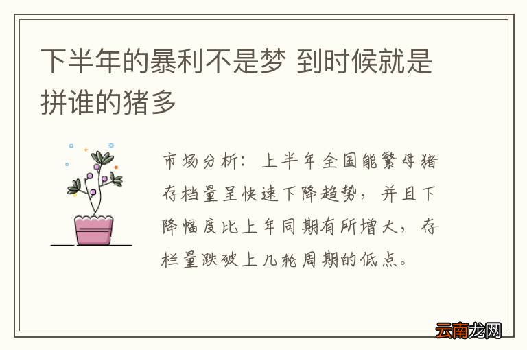 下半年的暴利不是梦 到时候就是拼谁的猪多