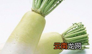 白萝卜后期怎么管理 白萝卜田间管理新升级