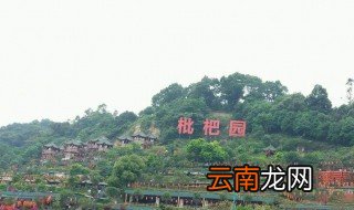 枇杷园火锅详细地址 记得去吃一下